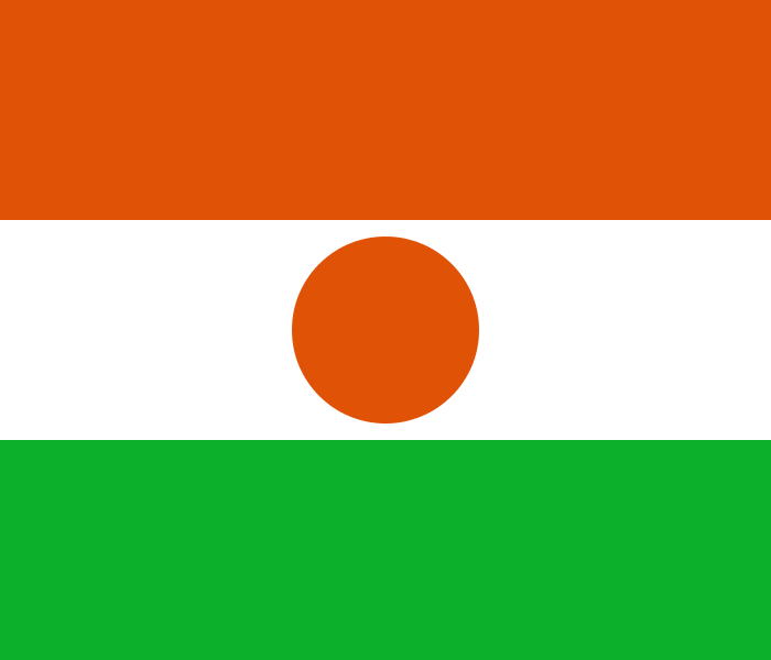 NER
